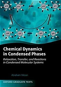 Chemical Dynamics in Condensed Phases : Relaxation, Transfer, and Reactions in Condensed Molecular Systems (Paperback)