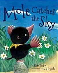 [중고] Mole Catches the Sky (Hardcover)