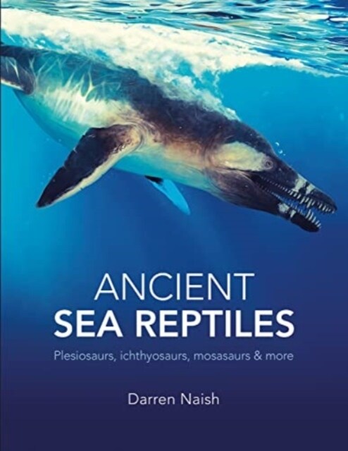 Ancient Sea Reptiles : Plesiosaurs, ichthyosaurs, mosasaurs and more (Hardcover)