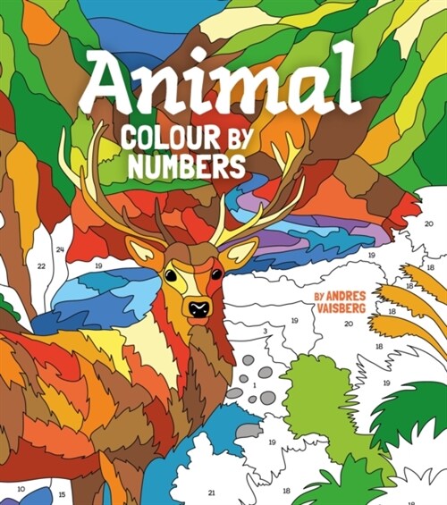 Animal Colour by Numbers (Paperback)