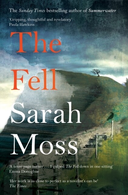 The Fell (Paperback)