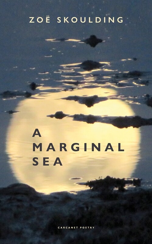 A Marginal Sea (Paperback)