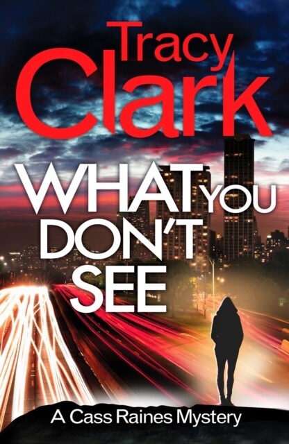 What You Dont See : A gripping private investigator series (Paperback)