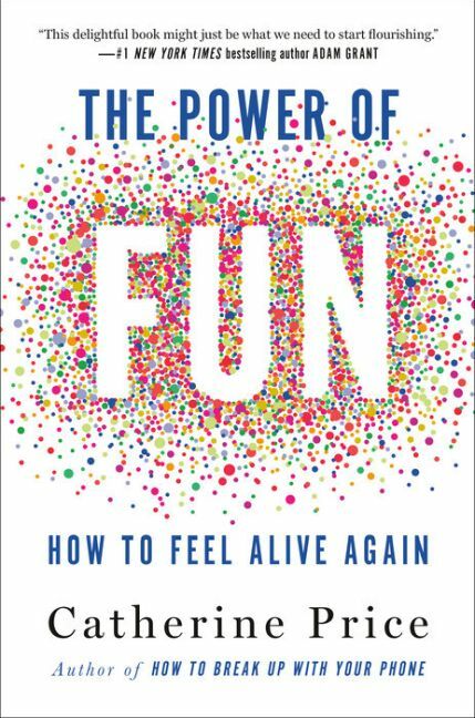 The Power of Fun: How to Feel Alive Again (Paperback)