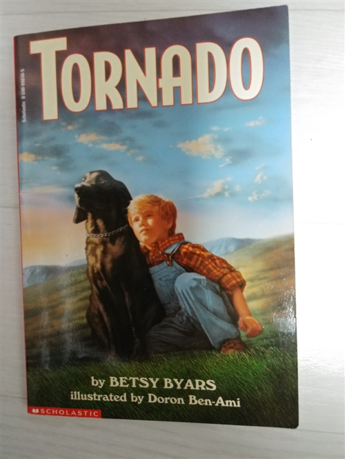 [중고] Tornado (Paperback, Reprint)