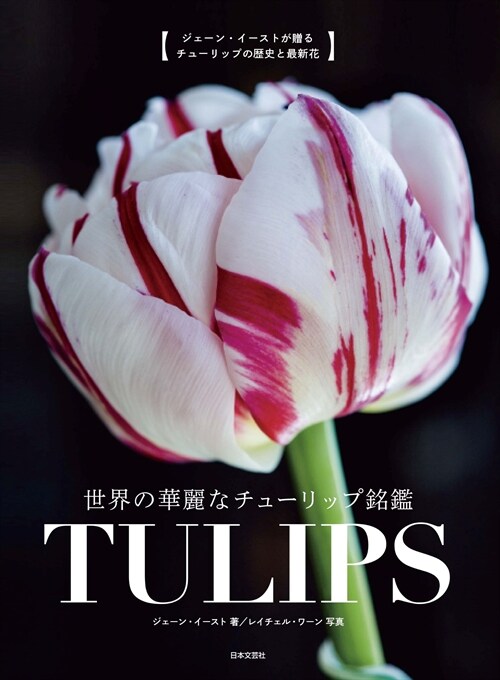 世界の華麗なチュ-リップ銘鑑TULIPS