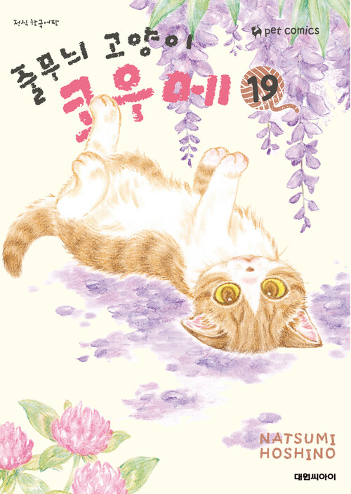 [고화질] 줄무늬 고양이 코우메 19