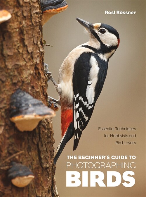 The Beginners Guide to Photographing Birds: Essential Techniques for Hobbyists and Bird Lovers (Paperback)