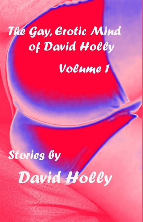 The Gay, Erotic Mind of David Holly, Volume 1 (Paperback)