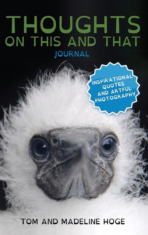 Thoughts on This and That: Journal (Hardcover)