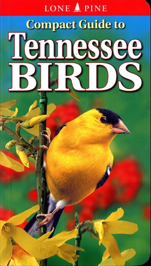 Compact Guide to Tennessee Birds (Paperback, 2, Revised)
