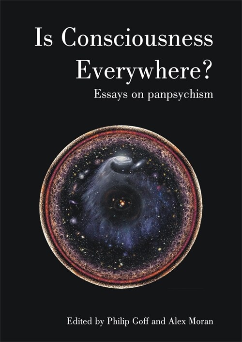 Is Consciousness Everywhere? : Essays on Panpsychism (Paperback)