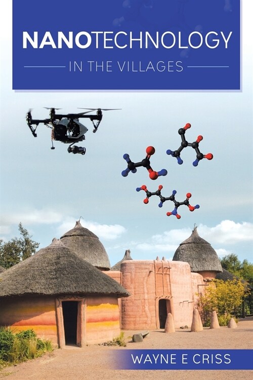 Nanotechnology: In the Villages (Paperback)