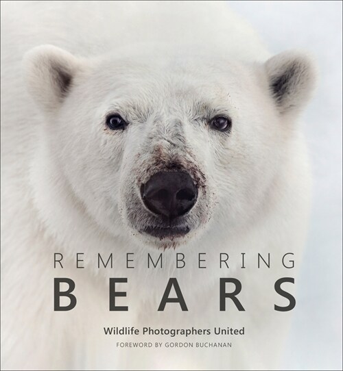 Remembering Bears (Hardcover)