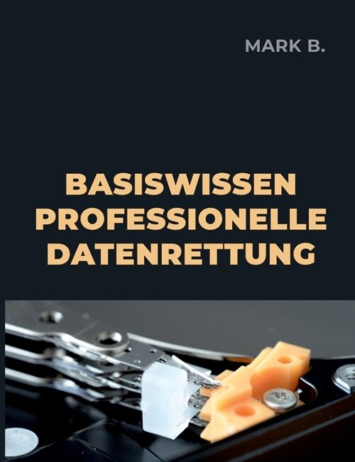 Basiswissen professionelle Datenrettung (Paperback)