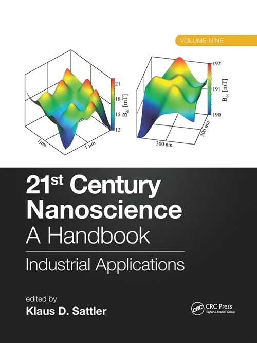 21st Century Nanoscience – A Handbook : Industrial Applications (Volume Nine) (Paperback)