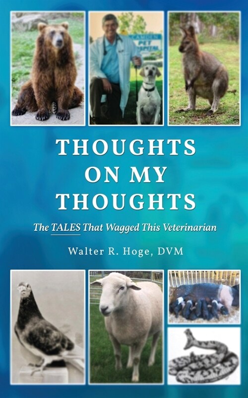 Thoughts On My Thoughts (Paperback)