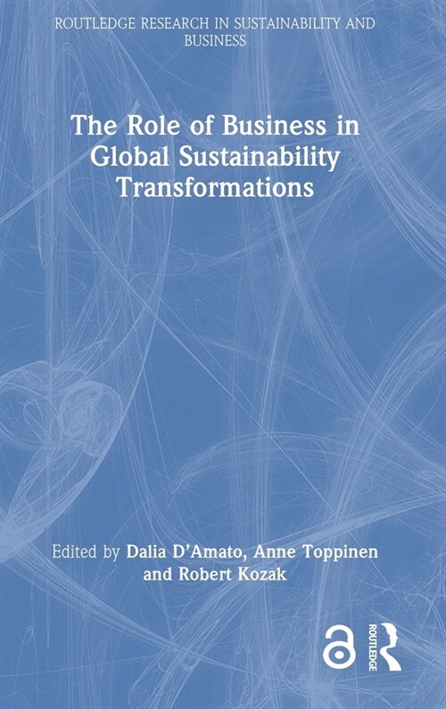 The Role of Business in Global Sustainability Transformations (Hardcover)