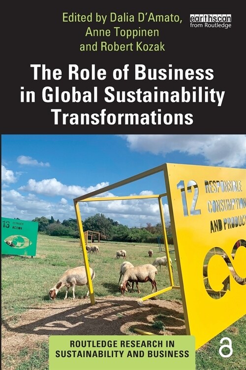 The Role of Business in Global Sustainability Transformations (Paperback)