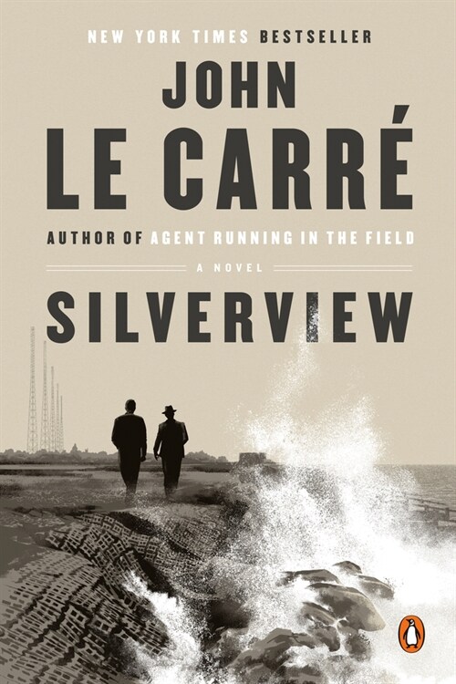 Silverview (Paperback)
