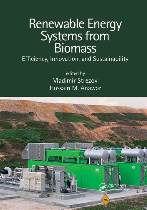 Renewable Energy Systems from Biomass : Efficiency, Innovation and Sustainability (Paperback)