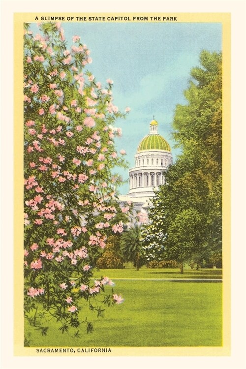 The Vintage Journal State Capitol, Sacramento, California (Paperback)