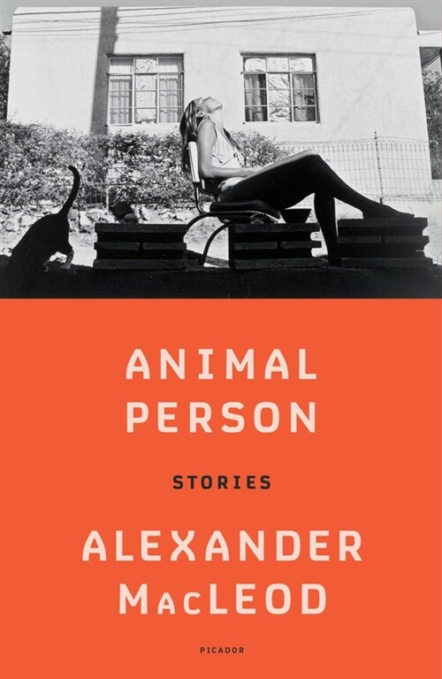 Animal Person: Stories (Paperback)