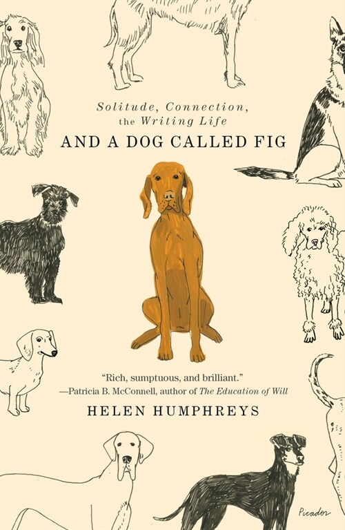 And a Dog Called Fig: Solitude, Connection, the Writing Life (Paperback)