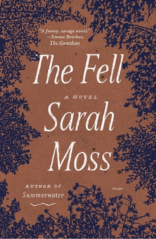 The Fell (Paperback)
