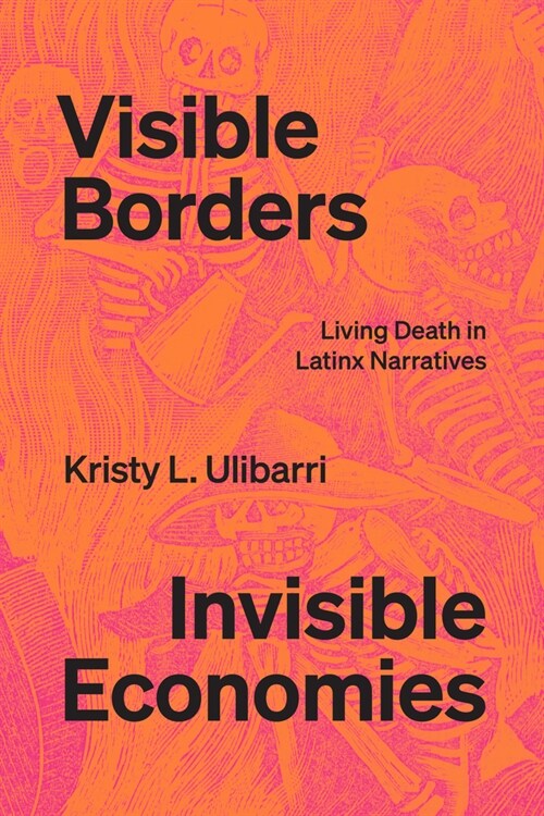 Visible Borders, Invisible Economies: Living Death in Latinx Narratives (Paperback)