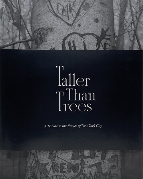 Taller Than Trees (Hardcover)