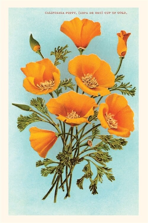 The Vintage Journal California Poppies (Paperback)