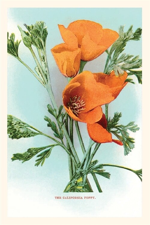 The Vintage Journal California Poppies (Paperback)