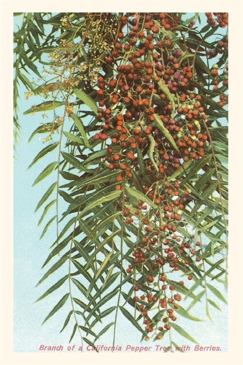 The Vintage Journal California Pepper Berries (Paperback)