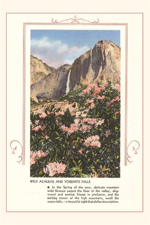 The Vintage Journal Wild Azaleas at Yosemite (Paperback)