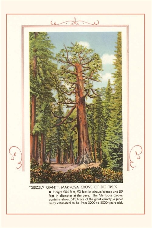 The Vintage Journal Grizzly giant, Mariposa Big Trees (Paperback)