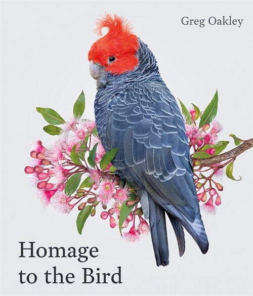 Homage to the Bird (Hardcover)