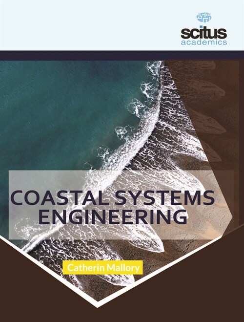 Coastal Systems Engineering (Hardcover)