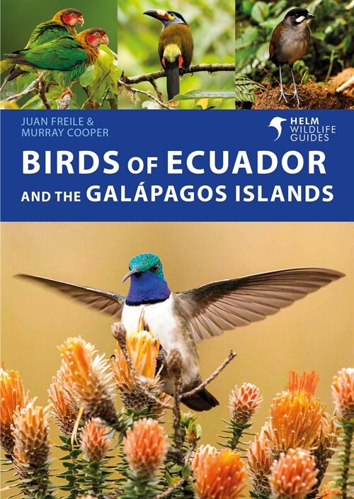 Birds of Ecuador and the Galapagos Islands (Paperback)