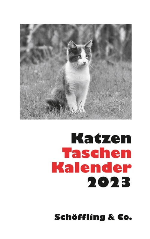 Katzen Taschenkalender 2023 (Calendar)