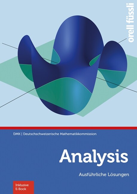 Analysis - Ausfuhrliche Losungen (Paperback)