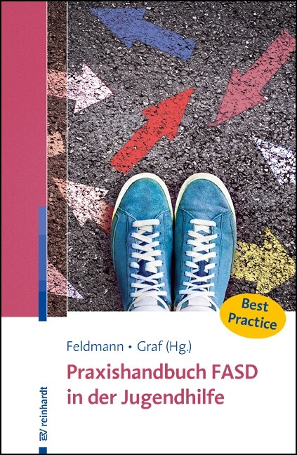 Praxishandbuch FASD in der Jugendhilfe (Paperback)