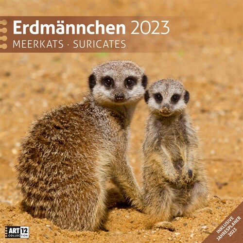 Erdmannchen Kalender 2023 - 30x30 (Calendar)