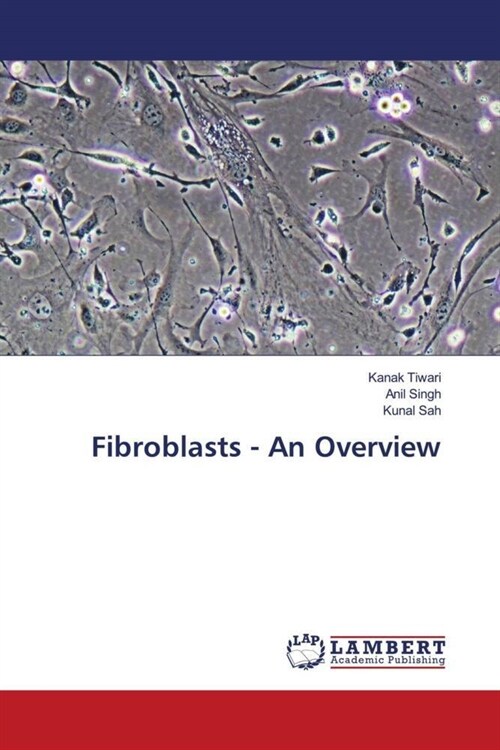 Fibroblasts - An Overview (Paperback)