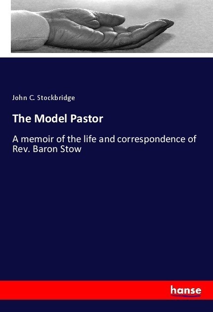 The Model Pastor (Paperback)