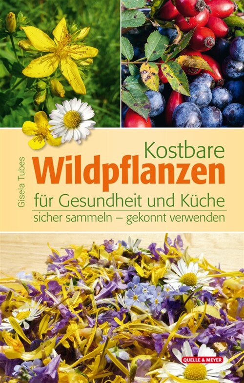 Kostbare Wildpflanzen fur Gesundheit und Kuche (Hardcover)