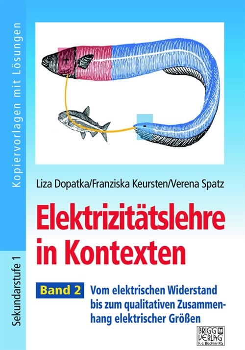 Elektrizitatslehre in Kontexten - Band 2 (Paperback)