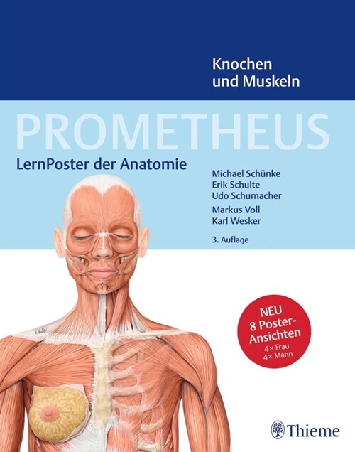 PROMETHEUS LernPoster der Anatomie, Knochen und Muskeln (Poster)