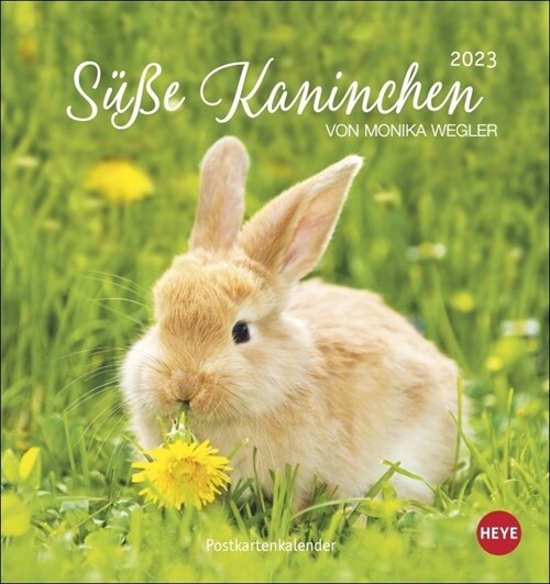 Suße Kaninchen Postkartenkalender 2023 (Calendar)