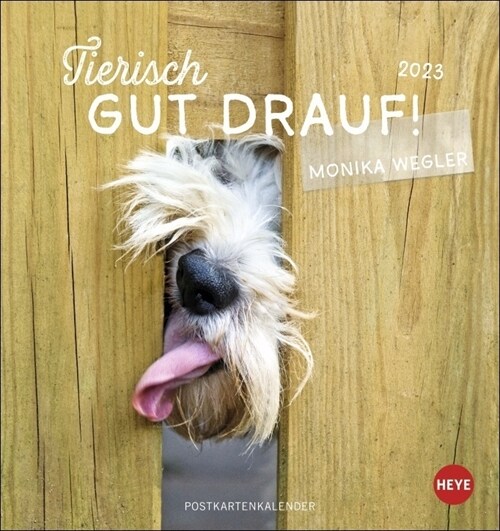 Tierisch gut drauf Postkartenkalender 2023 (Calendar)